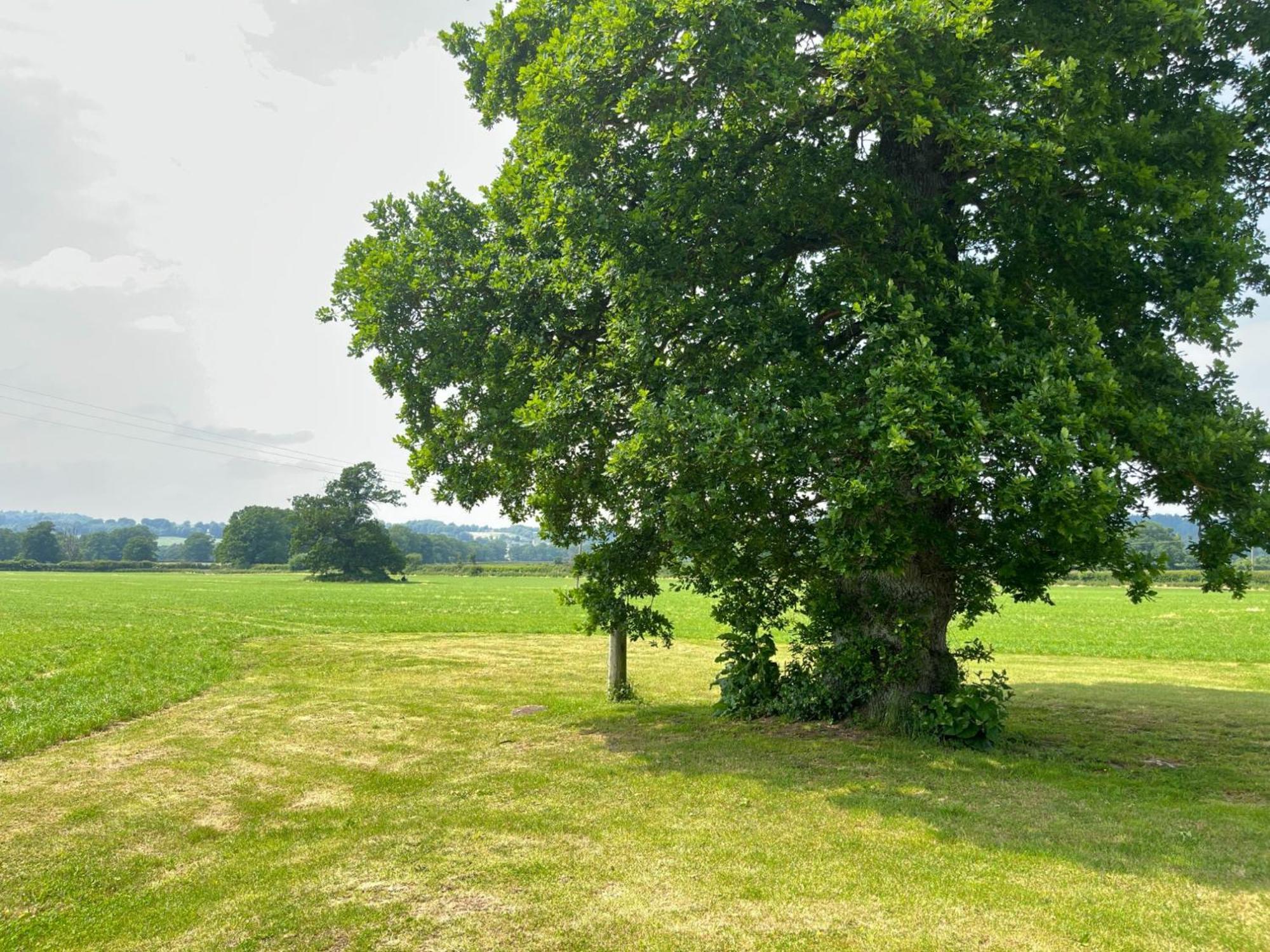 Pass The Keys Hare Cottage Wonderful Views And Parking Moreton-in-Marsh Exterior photo